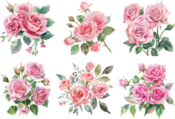 Summer set of beautiful flowers. Roses, buds and leaves