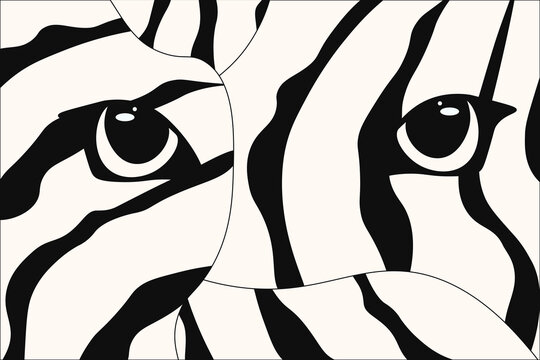 Animal background. Zebra Abstract background in with beautilful eyes. Hand Drawing Animal backdrop. White Tiger natural skin. Vector illustration can used web banner interior painting. EPS 10 
