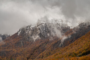 Molise, Mainarde. Autumn landscape. Foliage