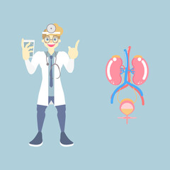 doctor drinking water with kidney and bladder urinary system, internal organs anatomy body part nervous system health care, vector illustration cartoon flat character design clip art