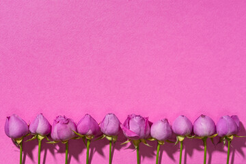 Roses creative composition pink background. Top view of the pattern of rosebuds. Original greeting...