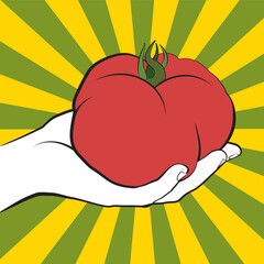 lllustrated big ox heart tomato held in hand in pop art style