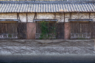 全体をツタで覆われた古い平屋 © sigemin