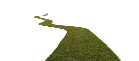 Grass path isolated on transparent background. 3D rendering.	
