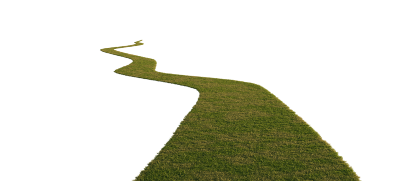 Grass path isolated on transparent background. 3D rendering.	
