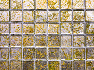 Yellow tiny mosaic tiles.