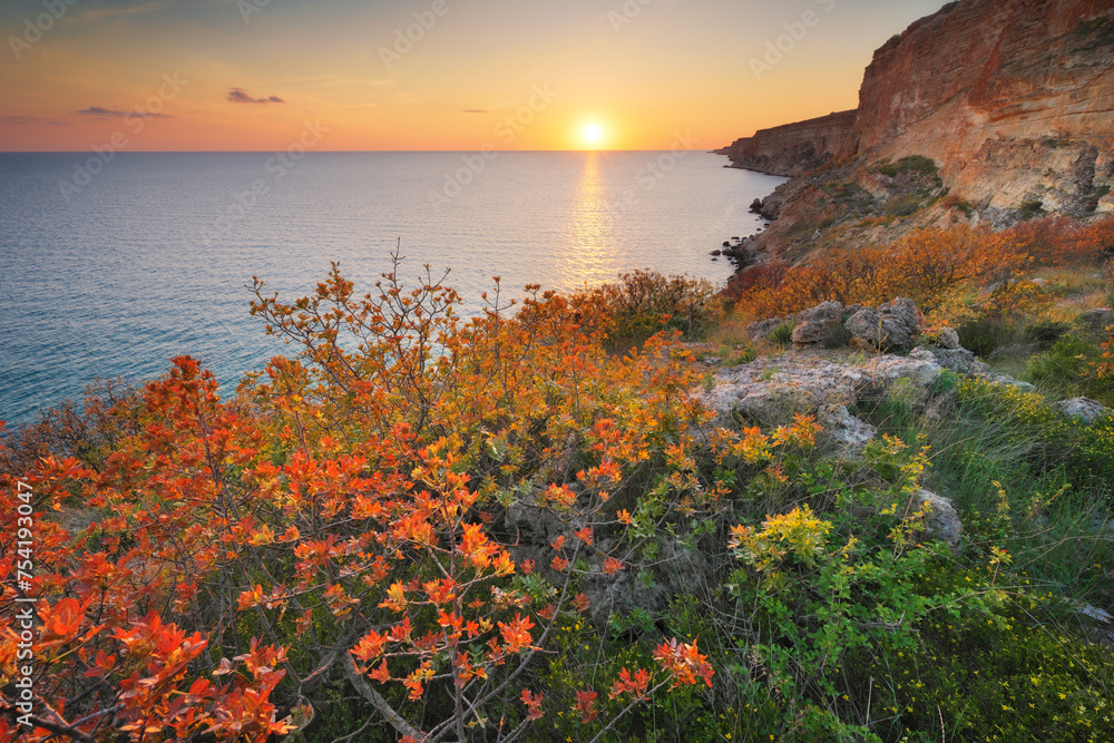 Wall mural Beautiful spring nature and sea landscape.