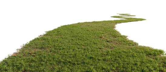 Grass path isolated on transparent background. 3D rendering.	
