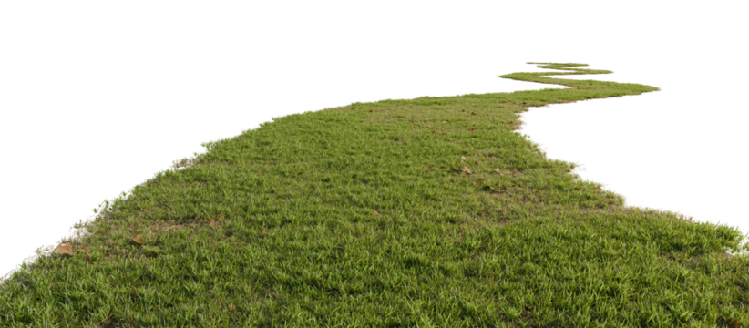 Grass path isolated on transparent background. 3D rendering.	
