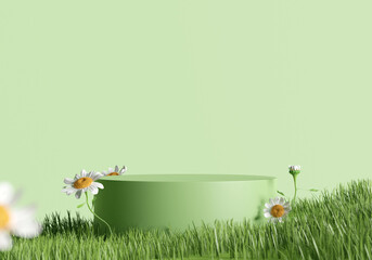 Stand product display podium in meadow with daisy blossom in spring season. 3D rendering