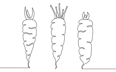 Three different carrots in a vertical position