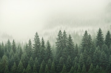 Fototapeta premium Mystical mist veils serene evergreen forest in ethereal tranquility 