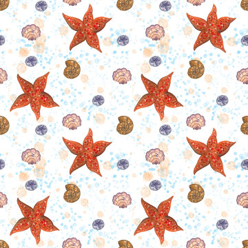 Hand drawn watercolor illustration. Seamless sea pattern. Interior decor, textiles, paper.
Sea, sea, starfish, mollusk, shell, sea urchin,