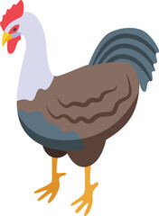 Rooster bird icon isometric vector. Farm chicken industry. Worker food