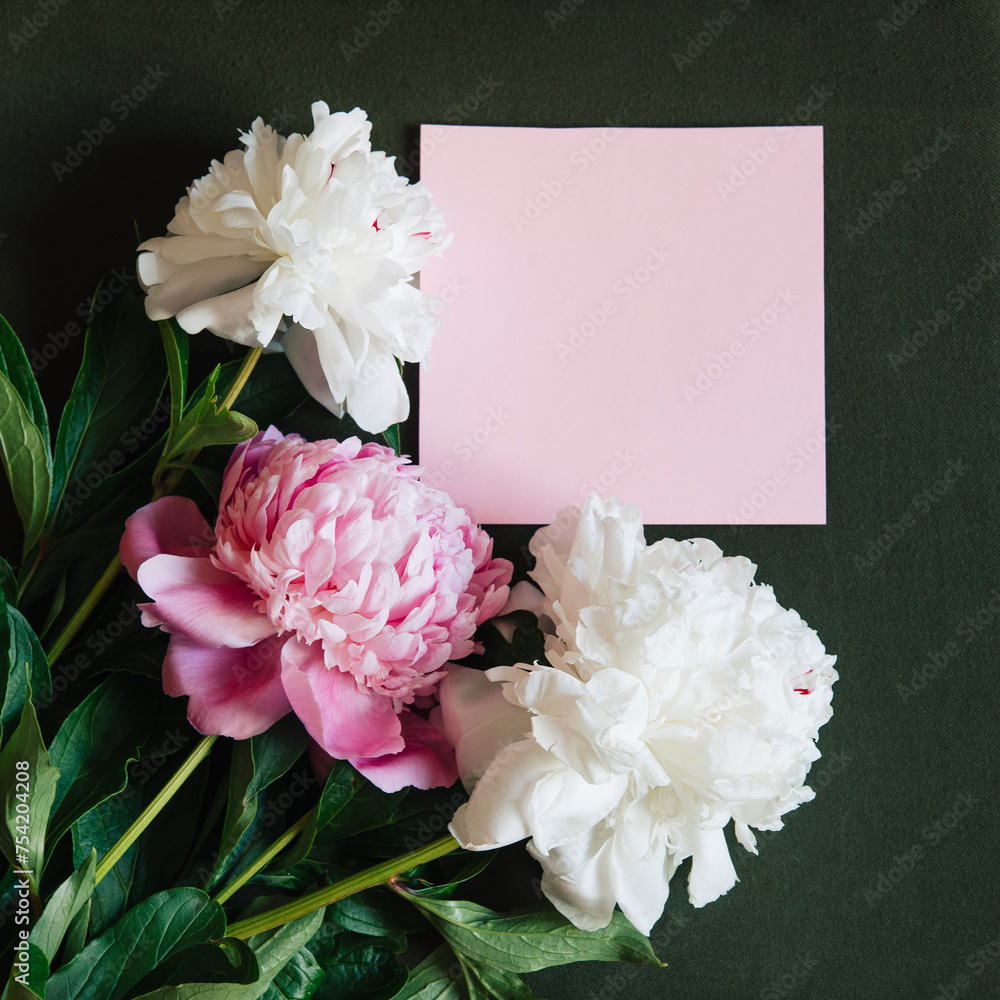 Wall mural Three fresh white and pink peonies flowers with square pink paper card on deep green dark background. Birthday, Mother's Day. Copy space. Creative spring greeting card design.