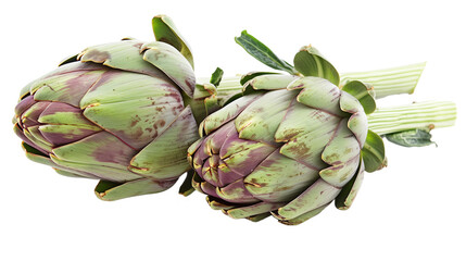 Fototapeta premium artichoke isolated on white background