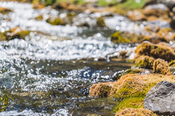 Mountain stream, river of clear water flows over stones in the Fan Mountains in Tajikistan