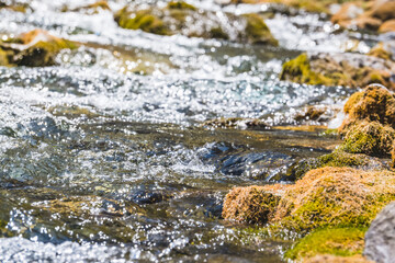 Mountain stream, river of clear water flows over stones in the Fan Mountains in Tajikistan