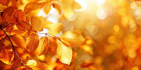 Golden Majesty. Embracing the Beauty of Autumn with its Radiant Golden Scenery - obrazy, fototapety, plakaty