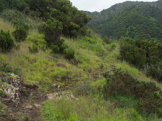 Fototapeta na wymiar Footpath in green meadows and hills at end of Vereda do Larano coastal hiking trail. Madeira island, Portugal, Europe.