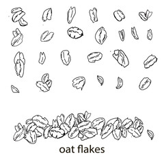oat flakes muesli outline Oat sketch . Oatmeal illustration. Vector muesli Drawing of granola. Cereal isolated. Wheat spelt plant. Oat porridge abstract design