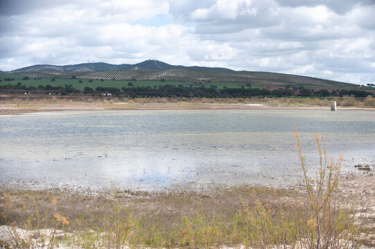 Laguna de los Tollos Jerez C&aacute;diz El Cuervo Sevilla