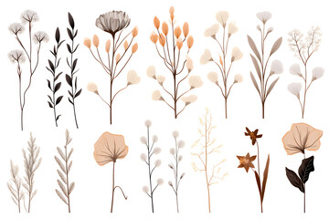 Naklejka premium Collection of hand drawn linear various plants and flowers, minimalist illustration