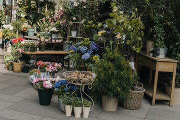 Beautiful colorful flowers and plants in a pots in a Flower shop.