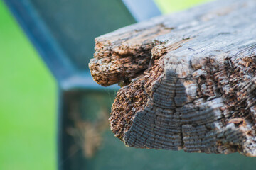 A wooden bench in a city park has become unusable due to the impact of natural factors such as...