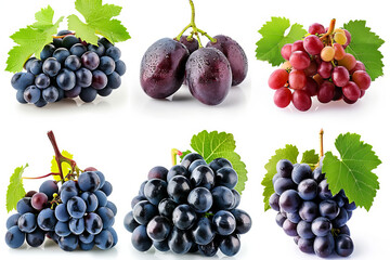 different sorts of grapes isolated on white background.