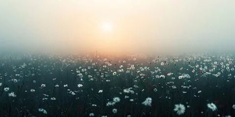 Foto op Plexiglas Peaceful morning with a misty sunrise over a field of white flowers. © Nataliya