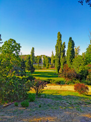 Fototapeta premium Taking a stroll in the park.