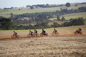 Obraz premium Palha de colheita de soja, ciclistas passando, e árvores ao fundo.