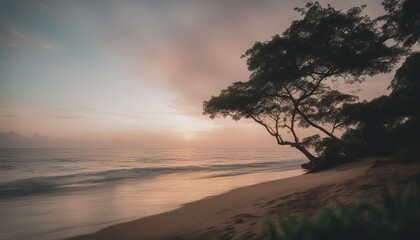 Fototapeta premium photo mesmerizing view of the calm ocean and the trees in the shore during sunset in indonesia