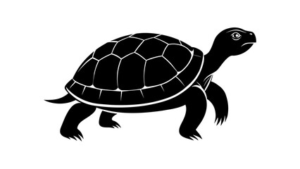 Turtle silhouette. Isolated tortoise 