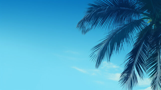Blue background with palm tree .