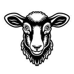 black and white lamb face on white background