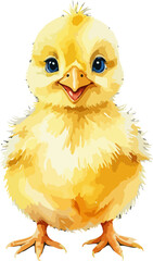 Easter illustration with chick. watercolor style vector