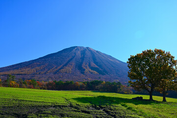 大山　大山放牧場　鳥取県　名峰　山　日本百名山　秋　紅葉　自然　絶景　山並み　牧場　山陰　中国地方　自然　観光名所　観光地