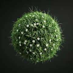 Fotobehang A picture of a 3D rendered ball made of grass, realistic surface isolated on black background, fresh and green leaves with tiny small white flowers, green textured sphere circle, AI Generated. © MeSSrro