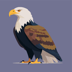 bald eagle flat vector illust...
