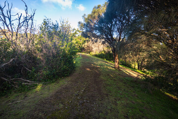 Tranquil Pathway Around Tower Hill’s Ancient Crater, Australia
