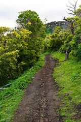 Fototapeta na wymiar Tranquil Pathway Around Tower Hill’s Ancient Crater, Australia