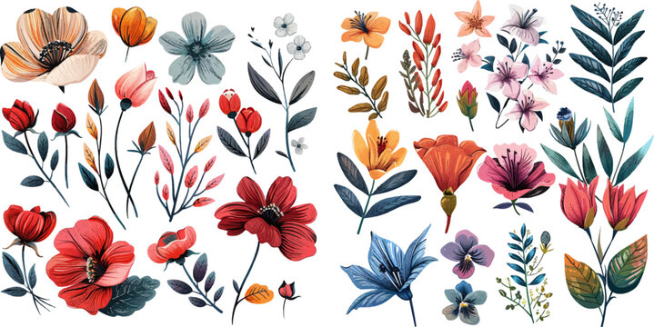 Collection of hand drawn graphic exotic flowers