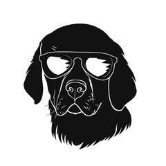 Golden retriever dog