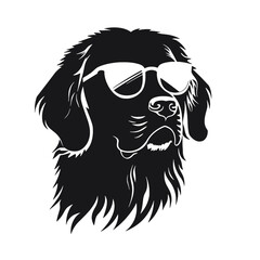 Golden retriever dog