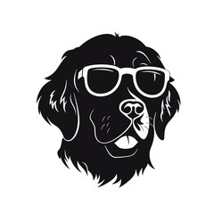 Golden retriever dog