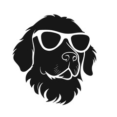 Golden retriever dog