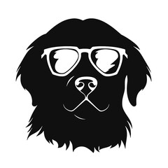 Golden retriever dog