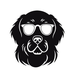 Golden retriever dog